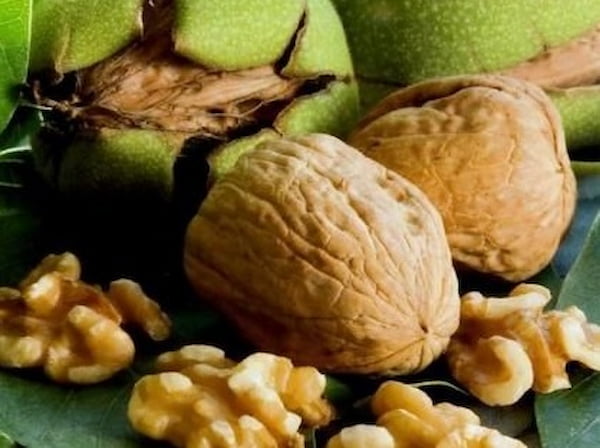 قیمت و خرید گردو پوست کاغذی تازه خوانسار + به صورت عمده